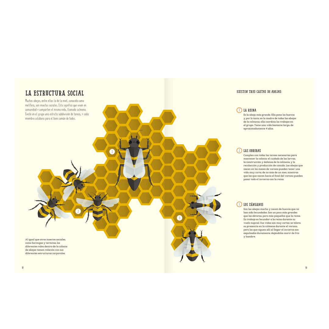 Libro EL MUNDO DE LAS ABEJAS