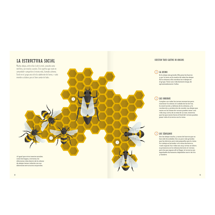 Libro EL MUNDO DE LAS ABEJAS