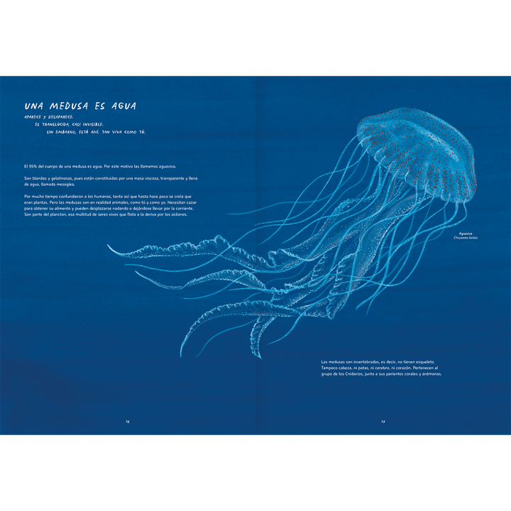 Libro MISTERIOSAS MEDUSAS