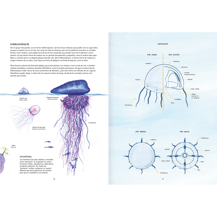 Libro MISTERIOSAS MEDUSAS