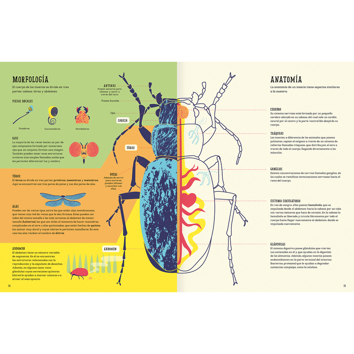 Libro INSECTOPEDIA