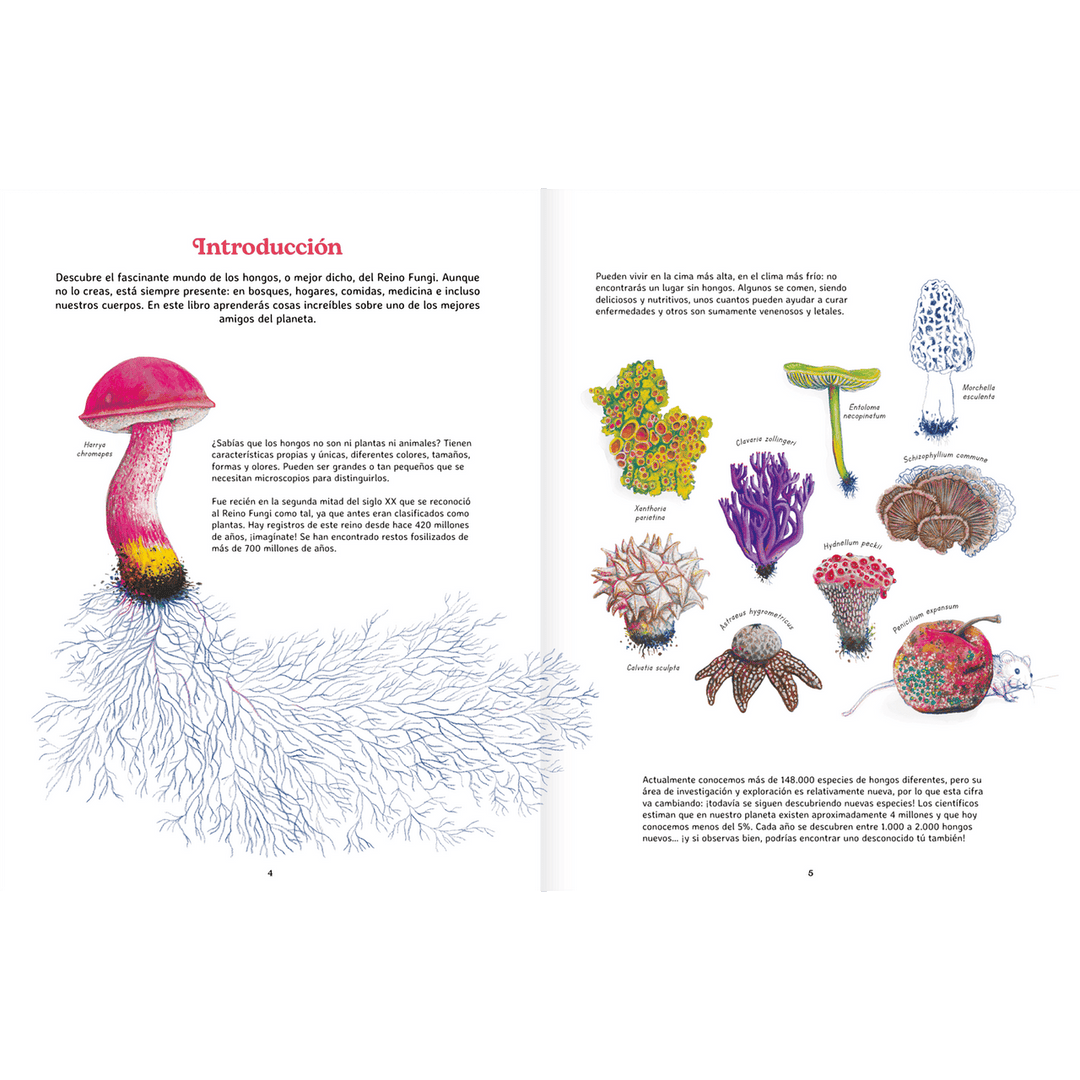 Libro REINO FUNGI
