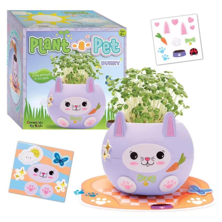 Planta una Mascota Conejito